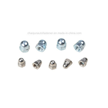 DIN1587 Nylon Ferro Cap Nut (CZ001)